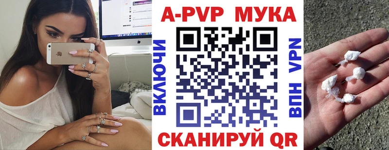 Альфа ПВП СК КРИС  Новороссийск 