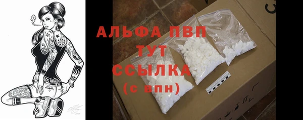 Альфа ПВП Аркадак