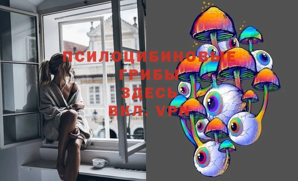 бутират Алзамай