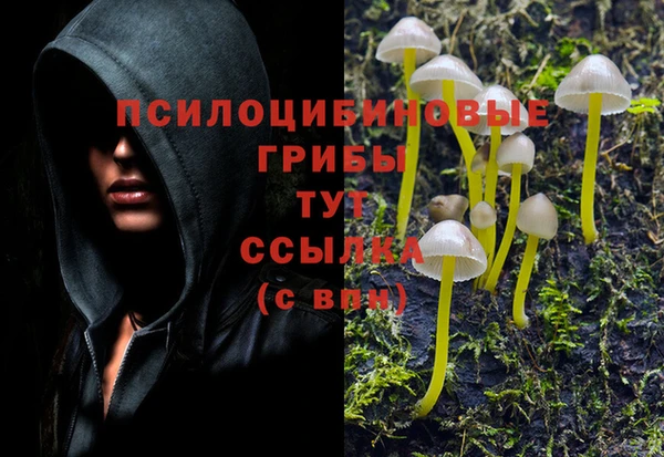 дживик Воткинск