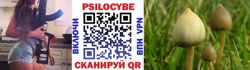 Галлюциногенные грибы мухоморы  omg ссылка  Новороссийск 