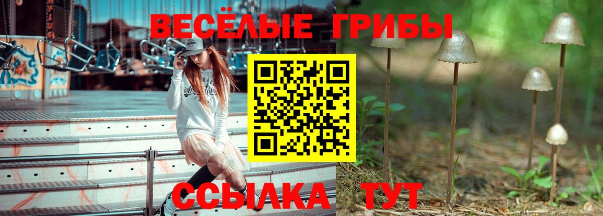 Галлюциногенные грибы ЛСД  Псилоцибиновые грибы Magic Shrooms  Вход с VPN  Новороссийск 